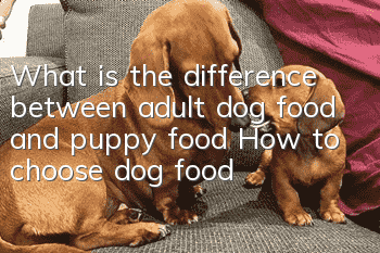 What is the difference between adult dog food and puppy food? How to choose dog food?