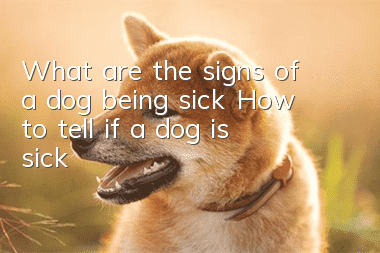 What are the signs of a dog being sick? How to tell if a dog is sick?