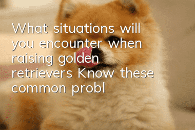 What situations will you encounter when raising golden retrievers? Know these common problems in advance