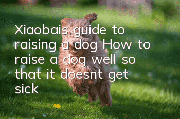 Xiaobai’s guide to raising a dog How to raise a dog well so that it doesn’t get sick