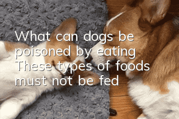 What can dogs be poisoned by eating? These types of foods must not be fed