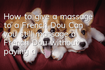 How to give a massage to a French Dou? Can you still massage a French Dou without paying attention to these points?