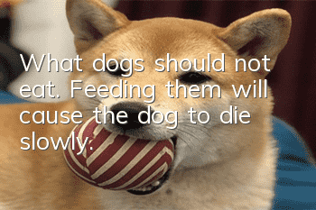 What dogs should not eat. Feeding them will cause the dog to die slowly.