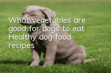 What vegetables are good for dogs to eat? Healthy dog ​​food recipes