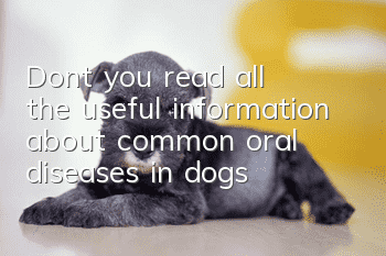 Don’t you read all the useful information about common oral diseases in dogs?