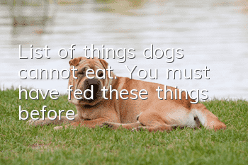 List of things dogs cannot eat. You must have fed these things before