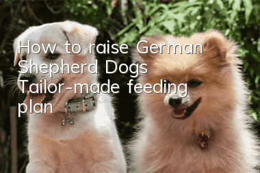 How to raise German Shepherd Dogs Tailor-made feeding plan