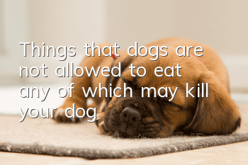 Things that dogs are not allowed to eat, any of which may kill your dog