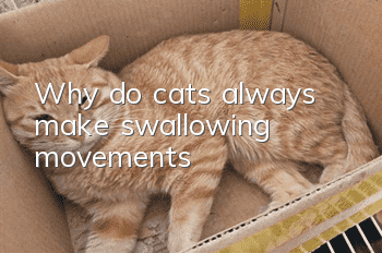 Why do cats always make swallowing movements?