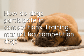 How do dogs participate in competitions? Training manual for competition dogs