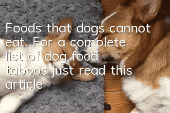 Foods that dogs cannot eat. For a complete list of dog food taboos, just read this article.