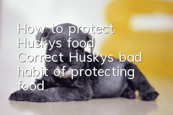 How to protect Husky’s food? Correct Husky’s bad habit of protecting food