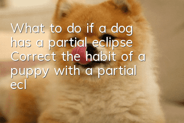 What to do if a dog has a partial eclipse? Correct the habit of a puppy with a partial eclipse