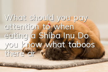 What should you pay attention to when eating a Shiba Inu? Do you know what taboos there are when eating a Shiba Inu?