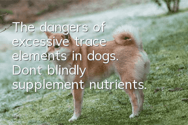 The dangers of excessive trace elements in dogs. Don’t blindly supplement nutrients.