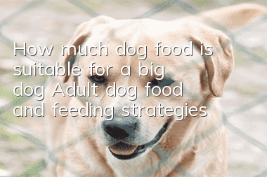 How much dog food is suitable for a big dog? Adult dog food and feeding strategies