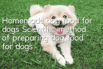 Homemade dog food for dogs Scientific method of preparing dog food for dogs