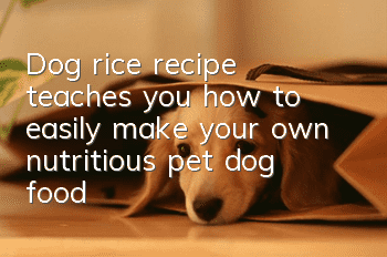 Dog rice recipe teaches you how to easily make your own nutritious pet dog food