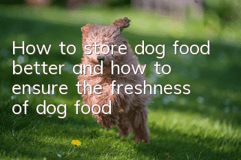 How to store dog food better and how to ensure the freshness of dog food