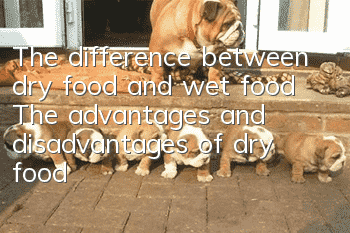 The difference between dry food and wet food The advantages and disadvantages of dry food and wet food