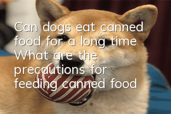 Can dogs eat canned food for a long time? What are the precautions for feeding canned food to dogs?