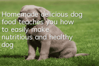 Homemade delicious dog food teaches you how to easily make nutritious and healthy dog ​​food