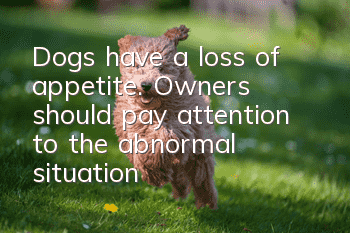 Dogs have a loss of appetite. Owners should pay attention to the abnormal situation!