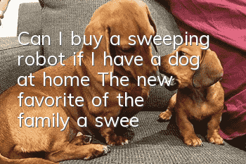 Can I buy a sweeping robot if I have a dog at home? The new favorite of the family: a sweeping robot
