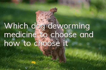 Which dog deworming medicine to choose and how to choose it
