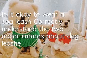Is it okay to wear a dog leash? Correctly understand the two major rumors about dog leashes