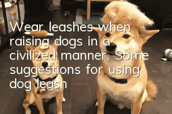 Wear leashes when raising dogs in a civilized manner. Some suggestions for using dog leashes.