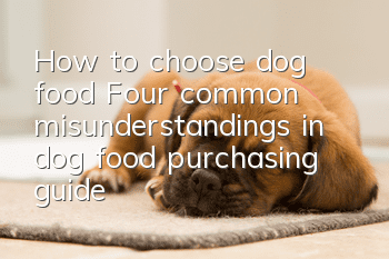 How to choose dog food? Four common misunderstandings in dog food purchasing guide