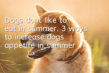 Dogs don’t like to eat in summer. 3 ways to increase dog’s appetite in summer
