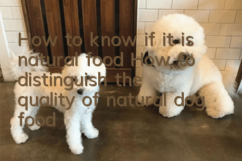 How to know if it is natural food? How to distinguish the quality of natural dog food?