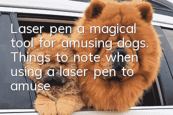Laser pen, a magical tool for amusing dogs. Things to note when using a laser pen to amuse dogs.