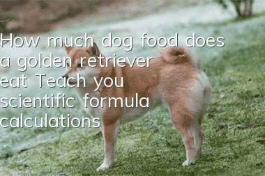 How much dog food does a golden retriever eat? Teach you scientific formula calculations