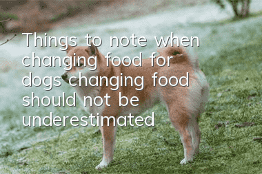 Things to note when changing food for dogs: changing food should not be underestimated