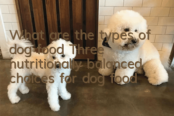 What are the types of dog food? Three nutritionally balanced choices for dog food