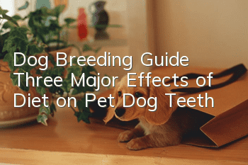 Dog Breeding Guide Three Major Effects of Diet on Pet Dog Teeth