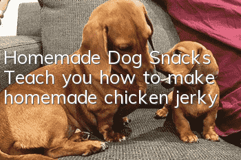 Homemade Dog Snacks Teach you how to make homemade chicken jerky