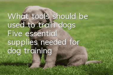 What tools should be used to train dogs? Five essential supplies needed for dog training