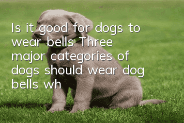 Is it good for dogs to wear bells? Three major categories of dogs should wear dog bells when going out