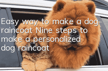 Easy way to make a dog raincoat Nine steps to make a personalized dog raincoat