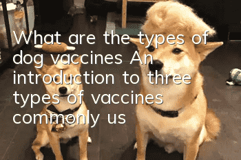 What are the types of dog vaccines? An introduction to three types of vaccines commonly used in pet clinics