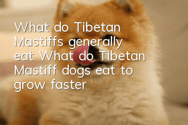 What do Tibetan Mastiffs generally eat? What do Tibetan Mastiff dogs eat to grow faster?