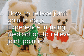 How to relieve joint pain in dogs. Experience in using medication to relieve joint pain in dogs.