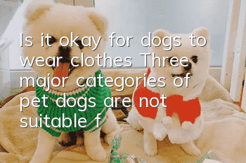 Is it okay for dogs to wear clothes? Three major categories of pet dogs are not suitable for wearing clothes