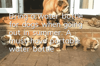Bring a water bottle for dogs when going out in summer. A must-have portable water bottle for dogs when going out.