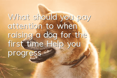 What should you pay attention to when raising a dog for the first time? Help you progress from a novice to a qualified dog shovel