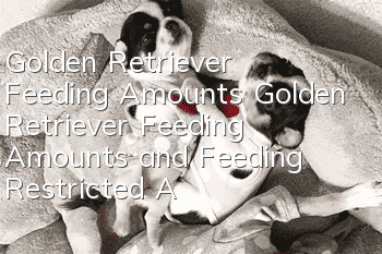 Golden Retriever Feeding Amounts Golden Retriever Feeding Amounts and Feeding Restricted Areas for Each Stage